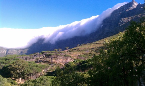 740428_4573568291032_1073419813_o