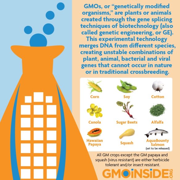 GMO Crops