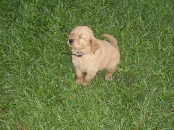 10400756_1045686616195_184_n